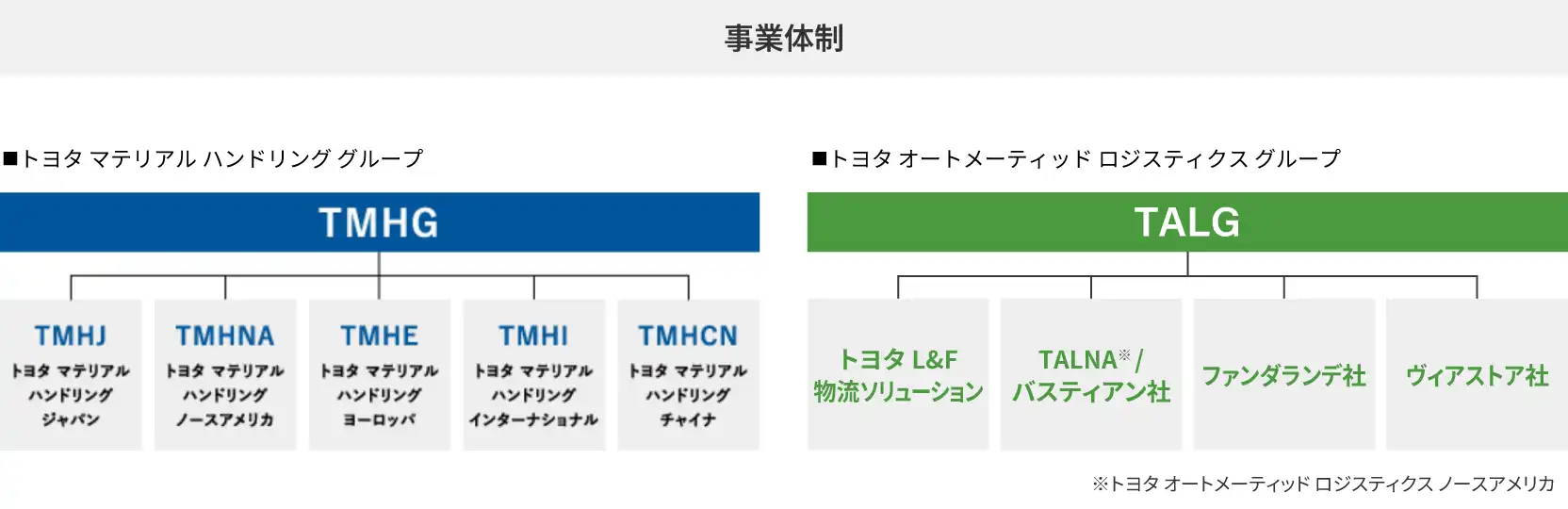 事業体制図(TMHG・TALG)